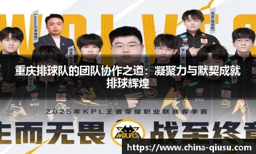 球速体育官网
